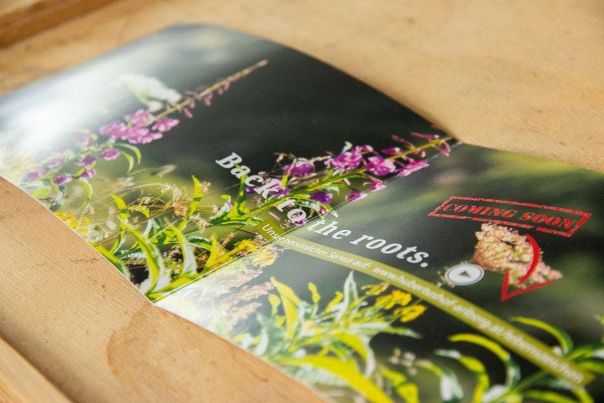 Schöne Gestaltung - Printprodukte und HOmepages